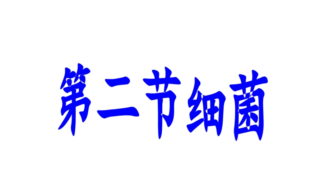 八年级生物上册 第二节细菌课件 人教新课标版