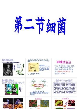八年级生物上册 第二节细菌课件 人教新课标版