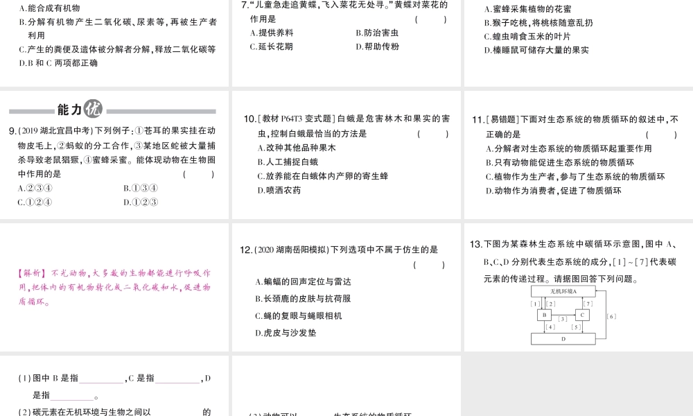 八年级生物上册 第五单元 第三章 动物在生物圈中的作用作业课件 （新版）新人教版-（新版）新人教级上册生物课件