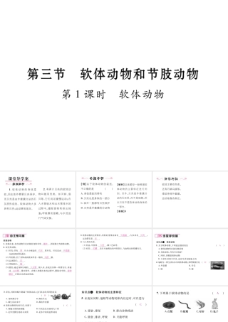 八年级生物上册 第五单元 第1章 第三节 软体动物和节肢动物（第1课时 软体动物）课件 （新版）新人教版-（新版）新人教版初中八年级上册生物课件