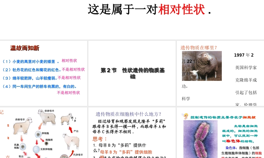 八年级生物上册 第二十章 第二节 性状遗传的物质基础课件 北师大版