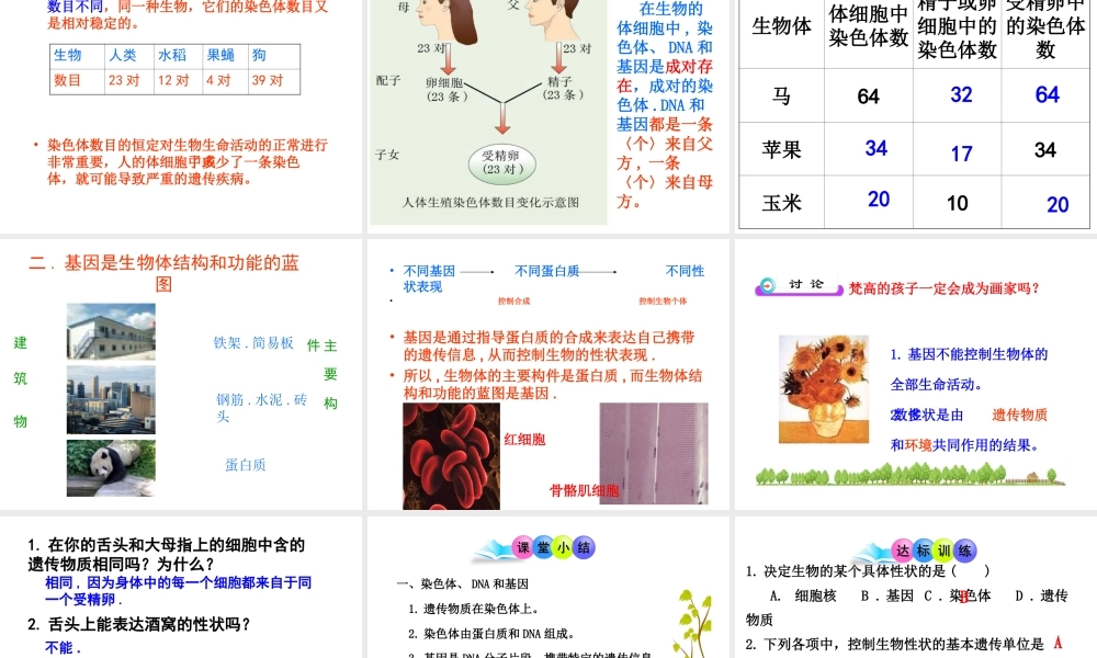 八年级生物上册 第二十章 第二节 性状遗传的物质基础课件 北师大版