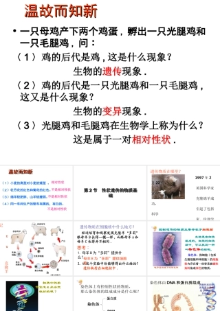 八年级生物上册 第二十章 第二节 性状遗传的物质基础课件 北师大版