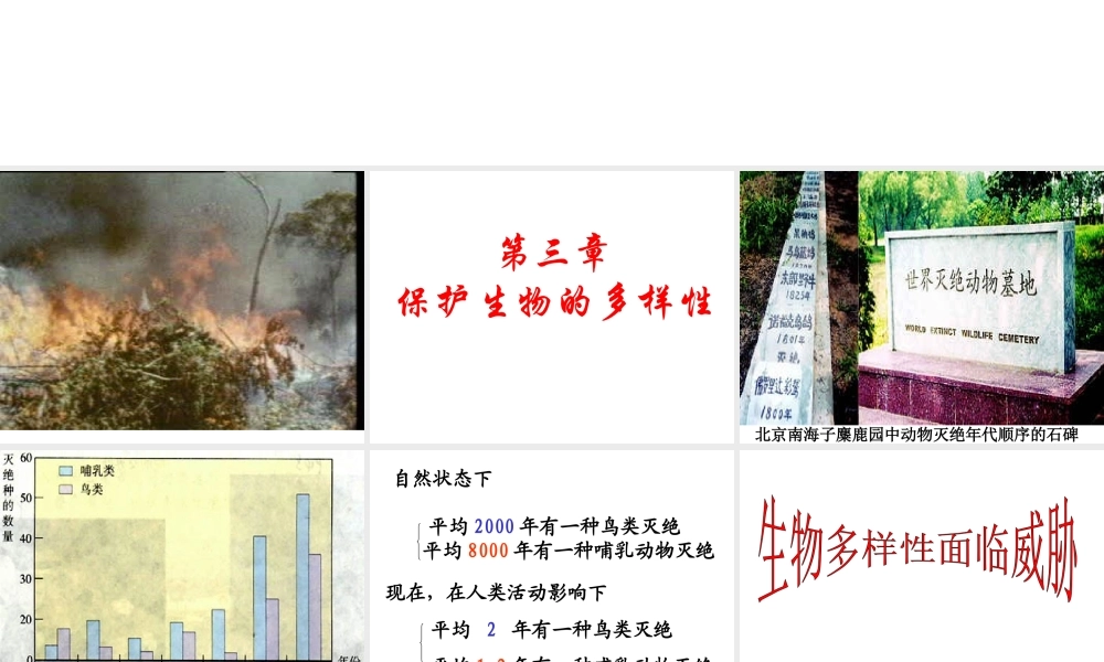 八年级生物上册 第6单元 第三章 保护生物的多样性课件 新人教版