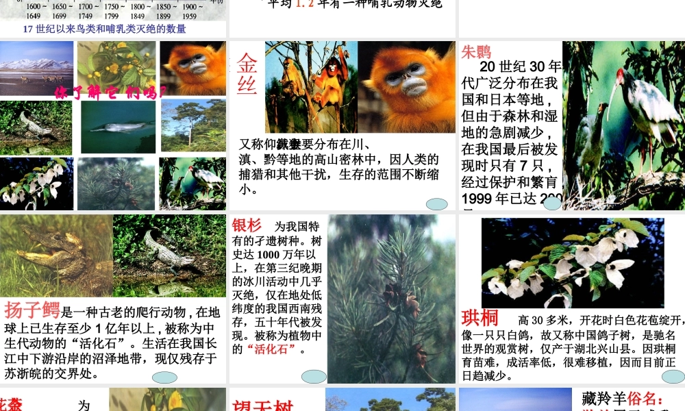 八年级生物上册 第6单元 第三章 保护生物的多样性课件 新人教版