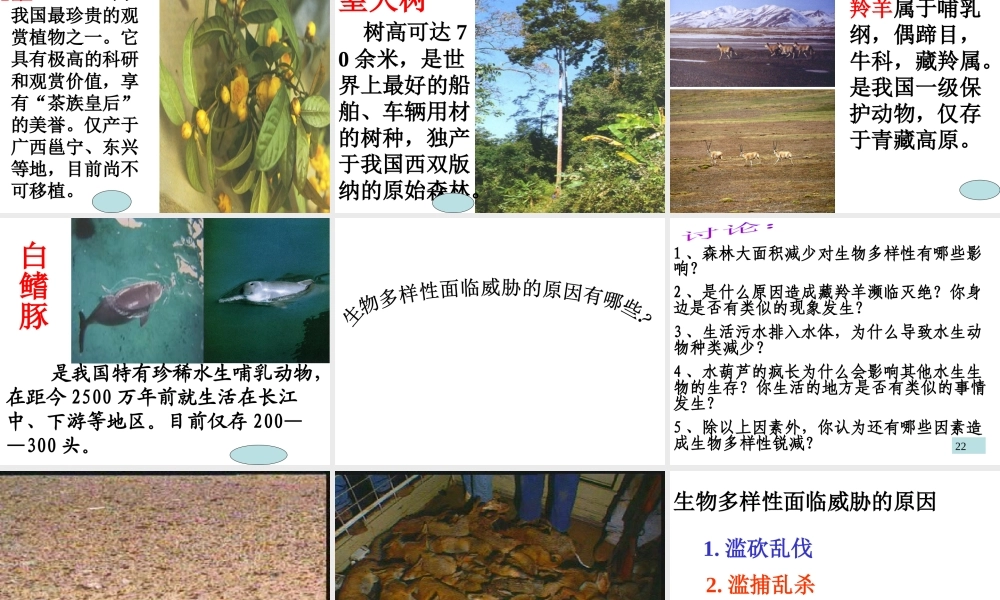 八年级生物上册 第6单元 第三章 保护生物的多样性课件 新人教版