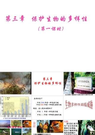 八年级生物上册 第6单元 第三章 保护生物的多样性课件 新人教版