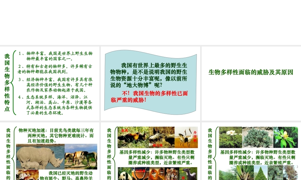 八年级生物上册 第6单元 第三章 保护生物的多样性课件1 新人教版