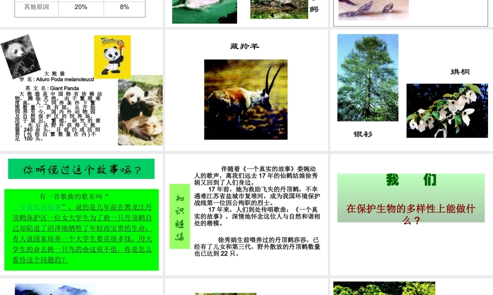 八年级生物上册 第6单元 第三章 保护生物的多样性课件2 新人教版