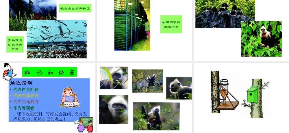 八年级生物上册 第6单元 第三章 保护生物的多样性课件2 新人教版