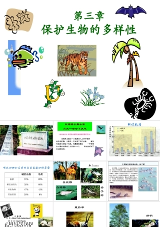 八年级生物上册 第6单元 第三章 保护生物的多样性课件2 新人教版