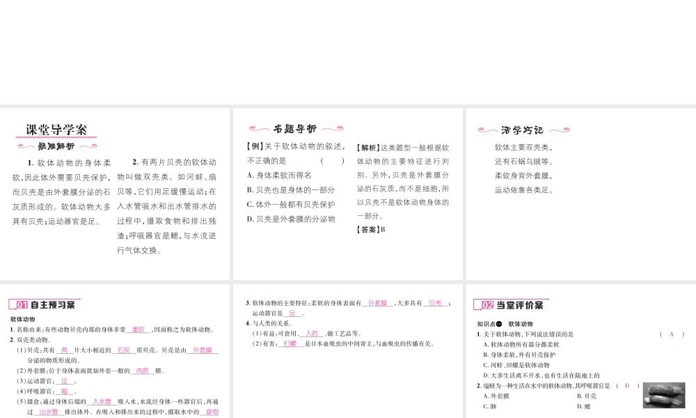 八年级生物上册 第五单元 第1章 第三节 软体动物和节肢动物（第1课时 软体动物）课件 （新版）新人教版-（新版）新人教级上册生物课件