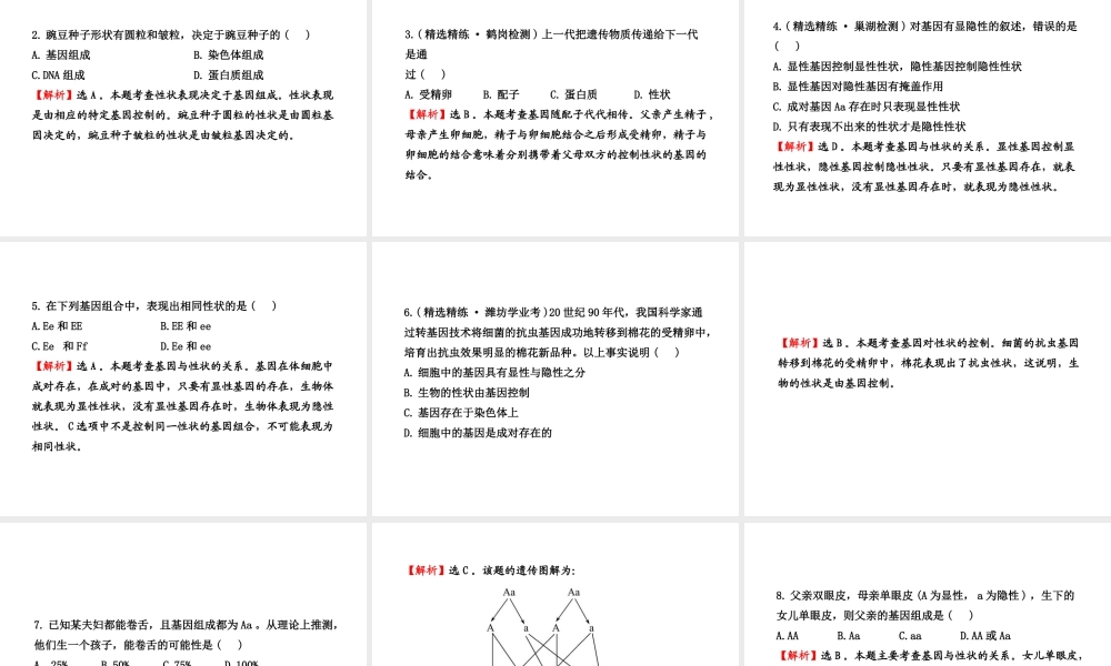 八年级生物上册 第二十章 第三节 性状遗传有一定的规律性课件 北师大版