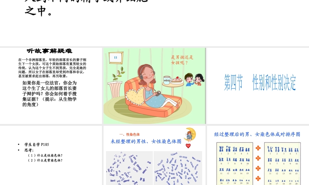 八年级生物上册 第二十章 第四节 性别和性别决定课件 北师大版