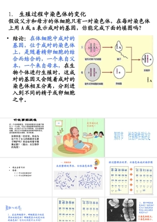 八年级生物上册 第二十章 第四节 性别和性别决定课件 北师大版
