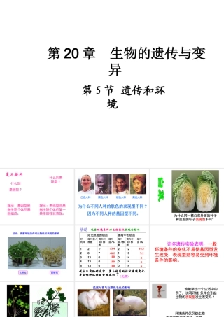 八年级生物上册 第二十章 第五节 遗传与环境课件 北师大版