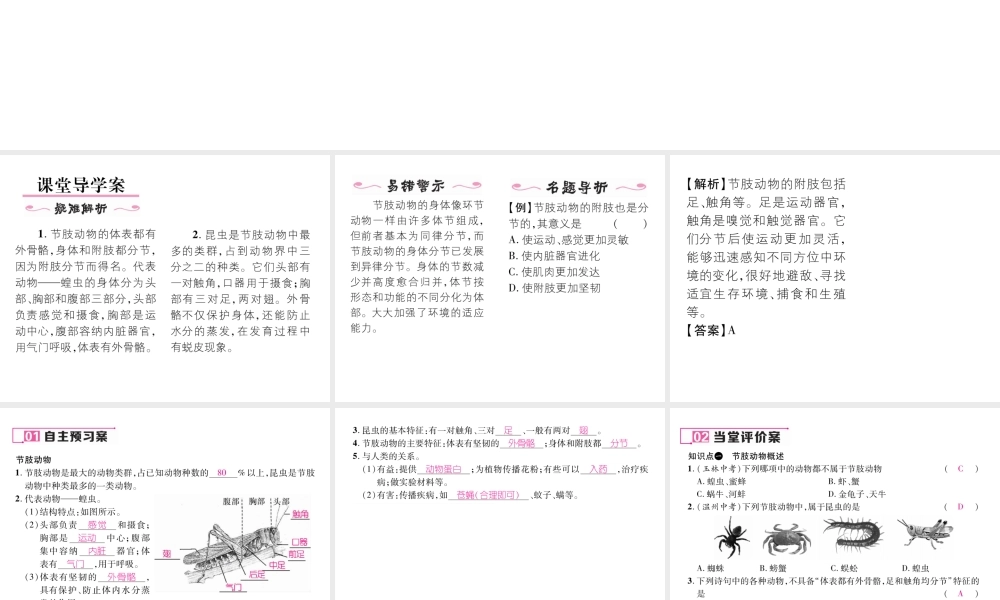八年级生物上册 第五单元 第1章 第三节 软体动物和节肢动物（第2课时 节肢动物）课件 （新版）新人教版-（新版）新人教级上册生物课件