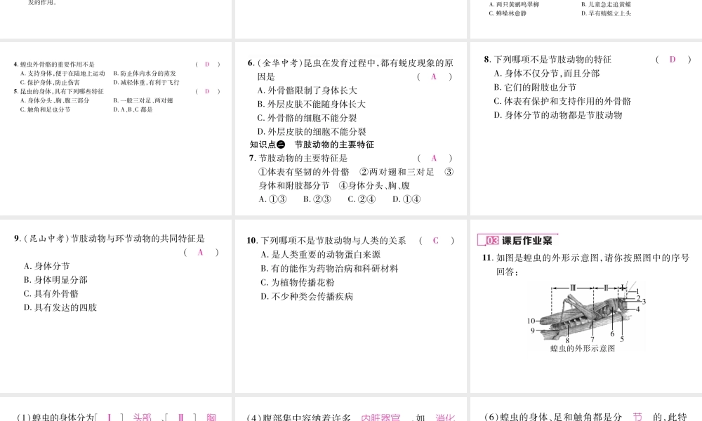 八年级生物上册 第五单元 第1章 第三节 软体动物和节肢动物（第2课时 节肢动物）课件 （新版）新人教版-（新版）新人教级上册生物课件