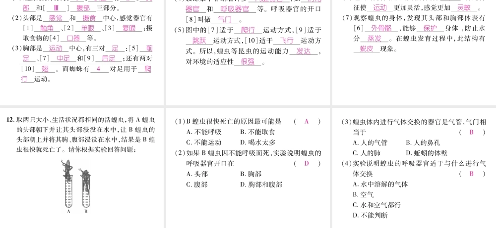 八年级生物上册 第五单元 第1章 第三节 软体动物和节肢动物（第2课时 节肢动物）课件 （新版）新人教版-（新版）新人教级上册生物课件