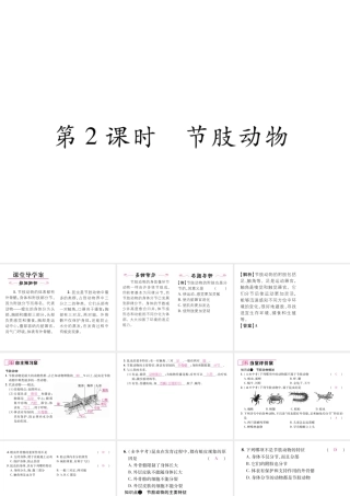 八年级生物上册 第五单元 第1章 第三节 软体动物和节肢动物（第2课时 节肢动物）课件 （新版）新人教版-（新版）新人教级上册生物课件