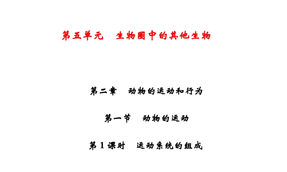 八年级生物上册 第5单元 第2章 第1节 动物的运动（第1课时 运动系统的组成）习题课件 （新版）新人教版-（新版）新人教版初中八年级上册生物课件