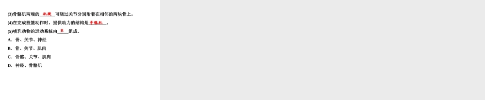 八年级生物上册 第5单元 第2章 第1节 动物的运动（第1课时 运动系统的组成）习题课件 （新版）新人教版-（新版）新人教版初中八年级上册生物课件