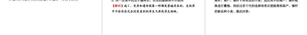 八年级生物上册 第二十章 第一节 遗传和变异现象课件 北师大版