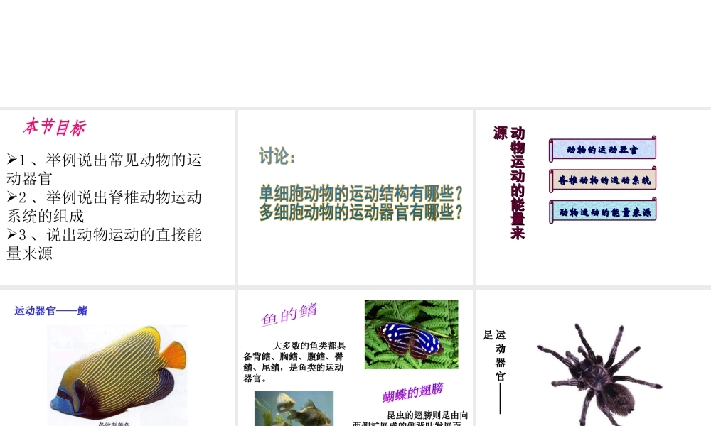 八年级生物上册 第6单元动物的运动和行为课件 苏教版