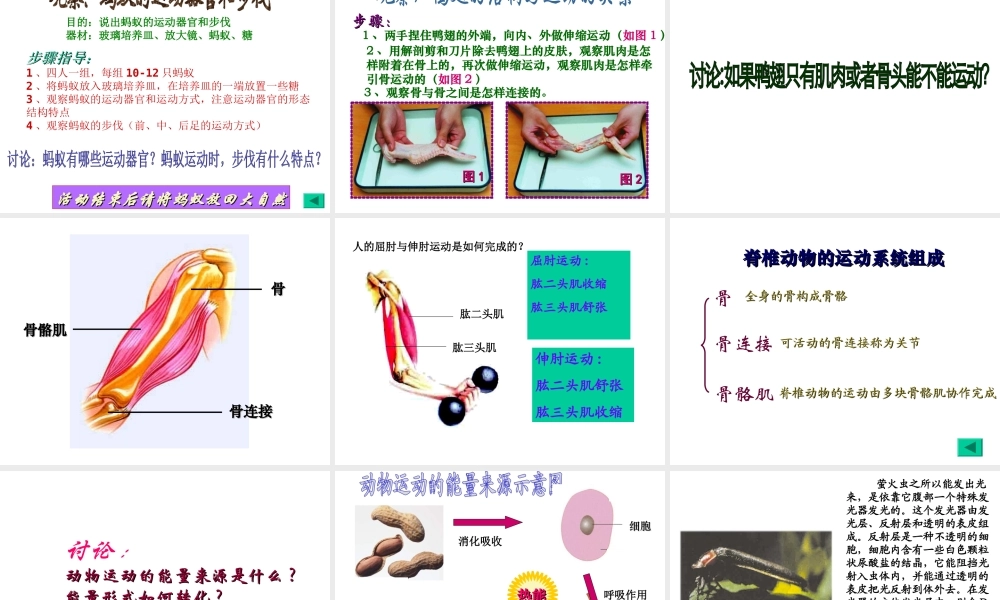 八年级生物上册 第6单元动物的运动和行为课件 苏教版