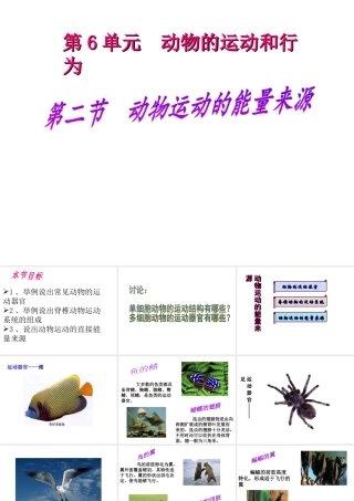 八年级生物上册 第6单元动物的运动和行为课件 苏教版