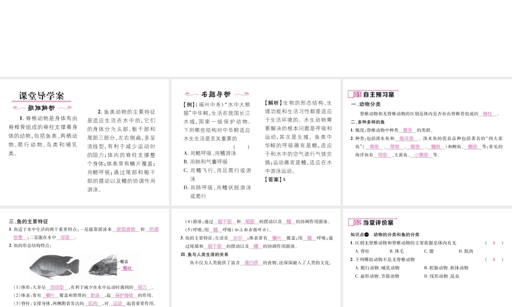 八年级生物上册 第五单元 第1章 第四节 鱼课件 （新版）新人教版-（新版）新人教版初中八年级上册生物课件
