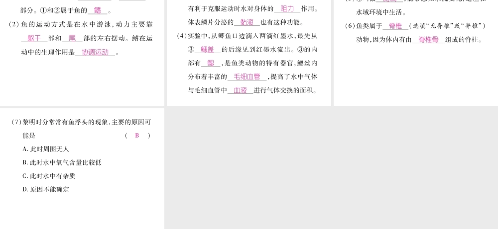 八年级生物上册 第五单元 第1章 第四节 鱼课件 （新版）新人教版-（新版）新人教版初中八年级上册生物课件