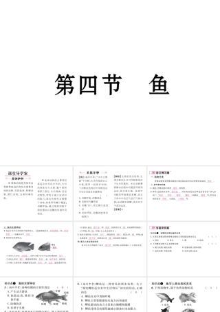 八年级生物上册 第五单元 第1章 第四节 鱼课件 （新版）新人教版-（新版）新人教版初中八年级上册生物课件