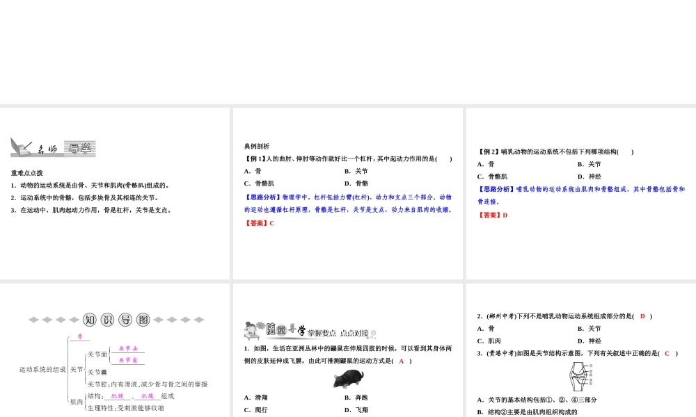 八年级生物上册 第5单元 第2章 第1节 动物的运动（第1课时 运动系统的组成）习题课件 （新版）新人教版-（新版）新人教级上册生物课件