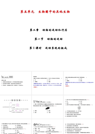 八年级生物上册 第5单元 第2章 第1节 动物的运动（第1课时 运动系统的组成）习题课件 （新版）新人教版-（新版）新人教级上册生物课件