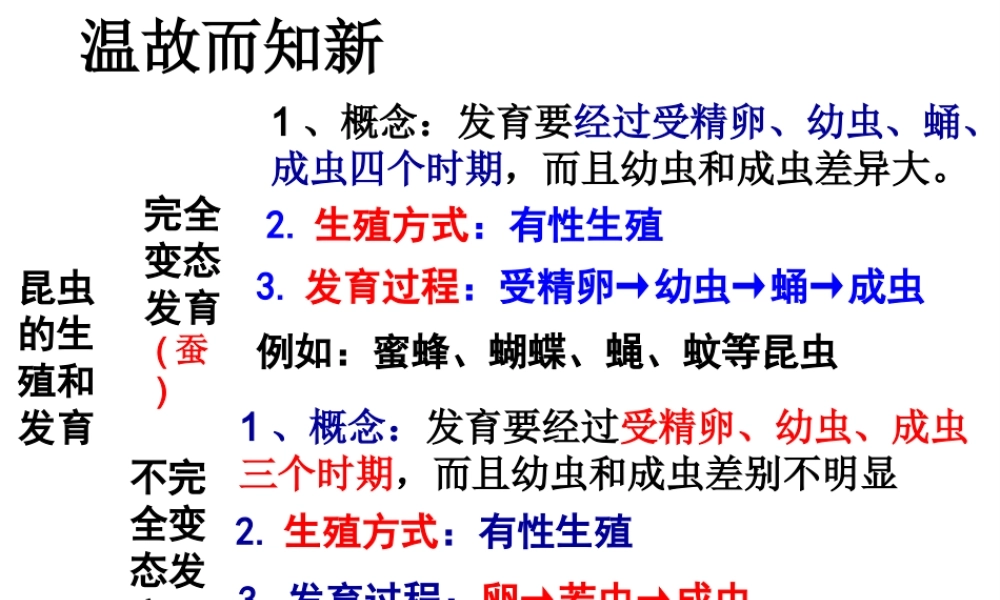 八年级生物上册 第二章 第二节 两栖动物的生殖和发育课件 （新版）济南版