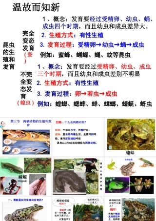 八年级生物上册 第二章 第二节 两栖动物的生殖和发育课件 （新版）济南版