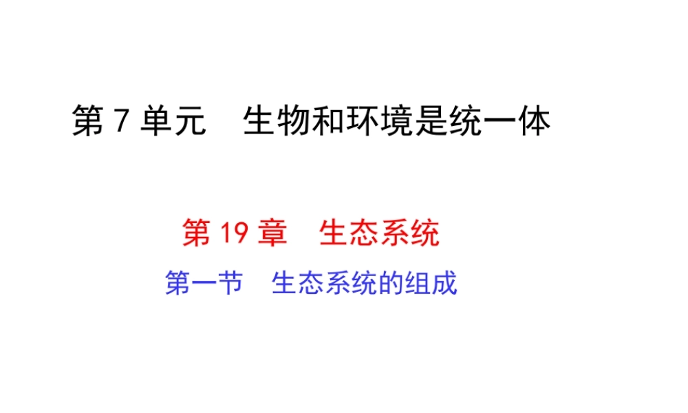 八年级生物上册 第7单元 第19章 第1节 生态系统的组成课件 （新版）苏教版
