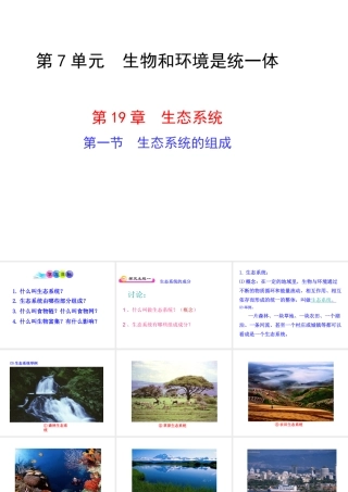八年级生物上册 第7单元 第19章 第1节 生态系统的组成课件 （新版）苏教版