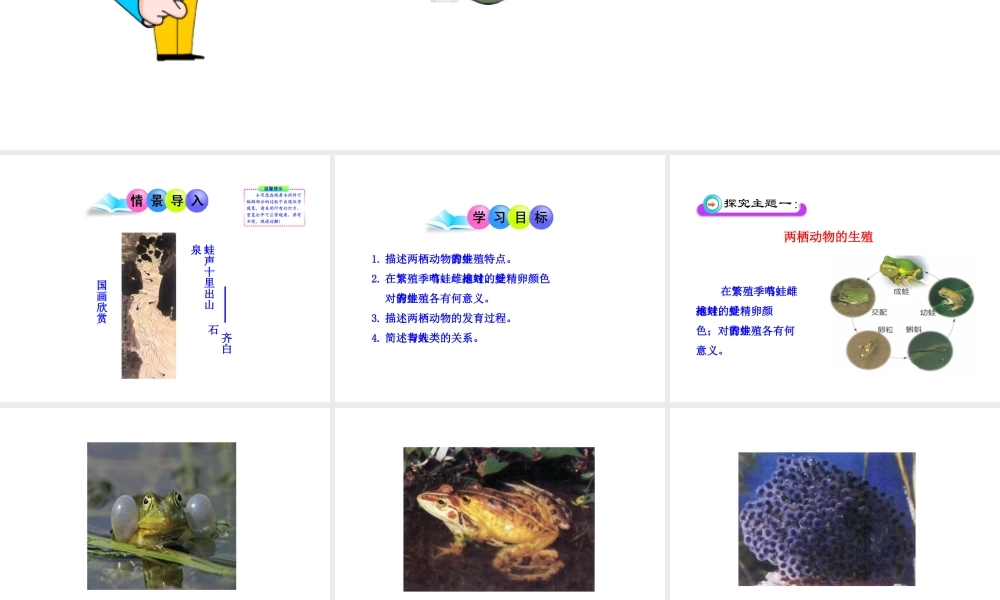 八年级生物上册 第二章 第二节 两栖动物的生殖和发育课件 济南版