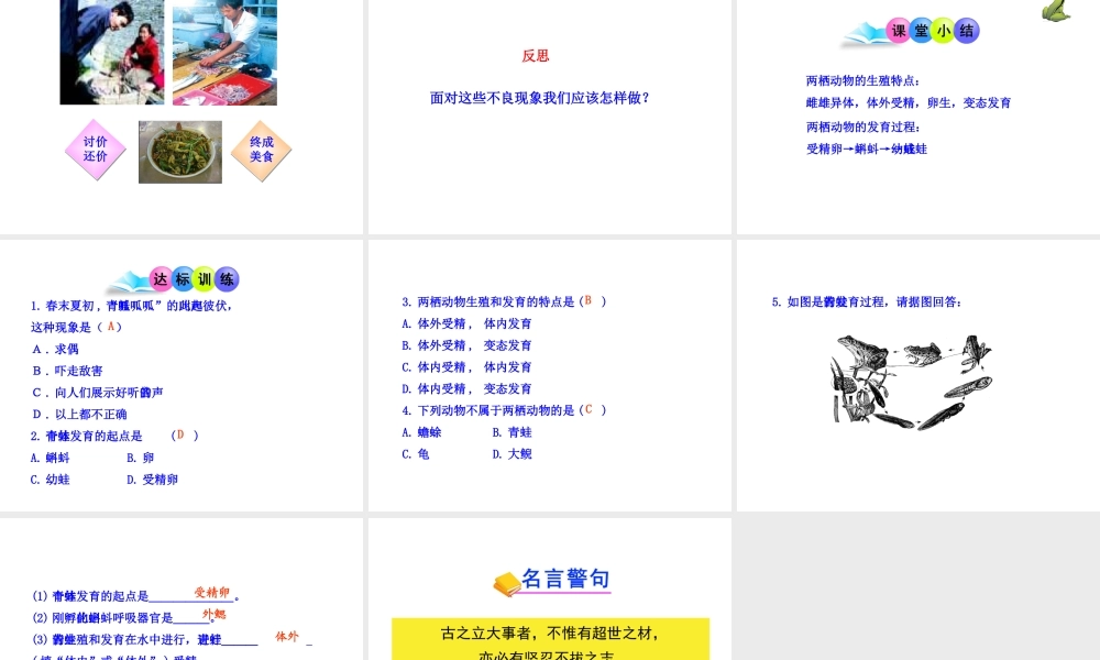 八年级生物上册 第二章 第二节 两栖动物的生殖和发育课件 济南版