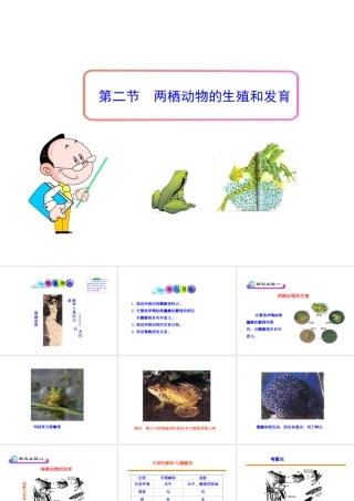 八年级生物上册 第二章 第二节 两栖动物的生殖和发育课件 济南版
