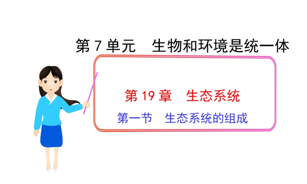 八年级生物上册 第7单元 第19章 第1节 生态系统的组课件 苏教版-苏教版初中八年级上册生物课件