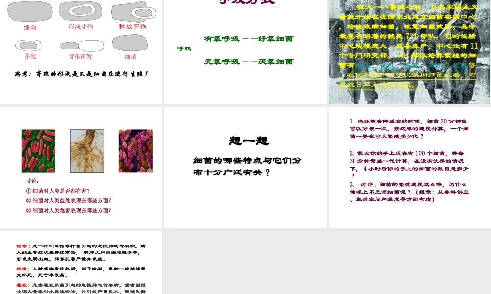 八年级生物上册 第五单元 第一章 第1节《细菌》复习课件 （新版）冀教版-（新版）冀教版初中八年级上册生物课件