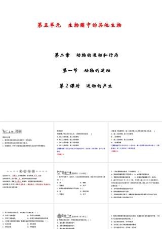 八年级生物上册 第5单元 第2章 第1节 动物的运动（第2课时 运动的产生）习题课件 （新版）新人教版-（新版）新人教版初中八年级上册生物课件