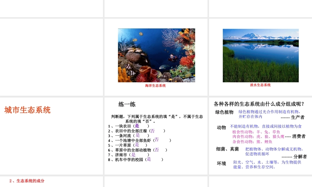 八年级生物上册 第7单元 第19章 第1节 生态系统的组课件 苏教版-苏教级上册生物课件