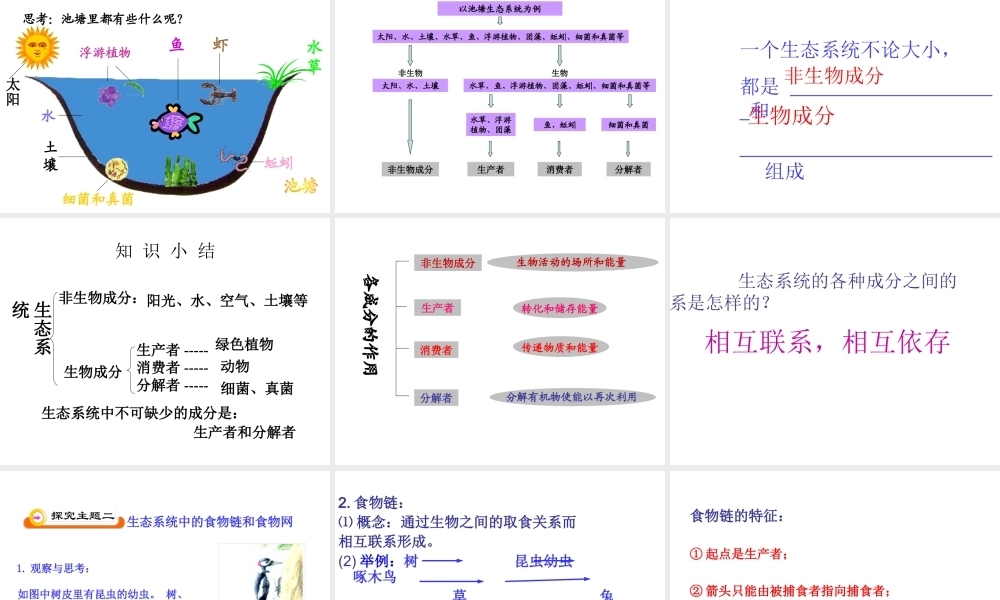 八年级生物上册 第7单元 第19章 第1节 生态系统的组课件 苏教版-苏教级上册生物课件