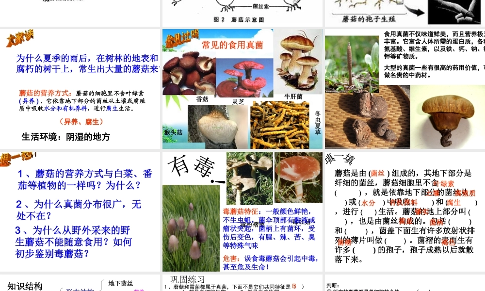 八年级生物上册 第二章 第二节 食用真菌课件 冀教版