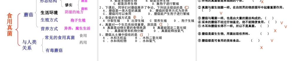 八年级生物上册 第二章 第二节 食用真菌课件 冀教版