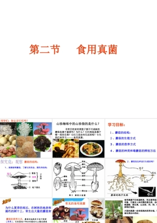 八年级生物上册 第二章 第二节 食用真菌课件 冀教版